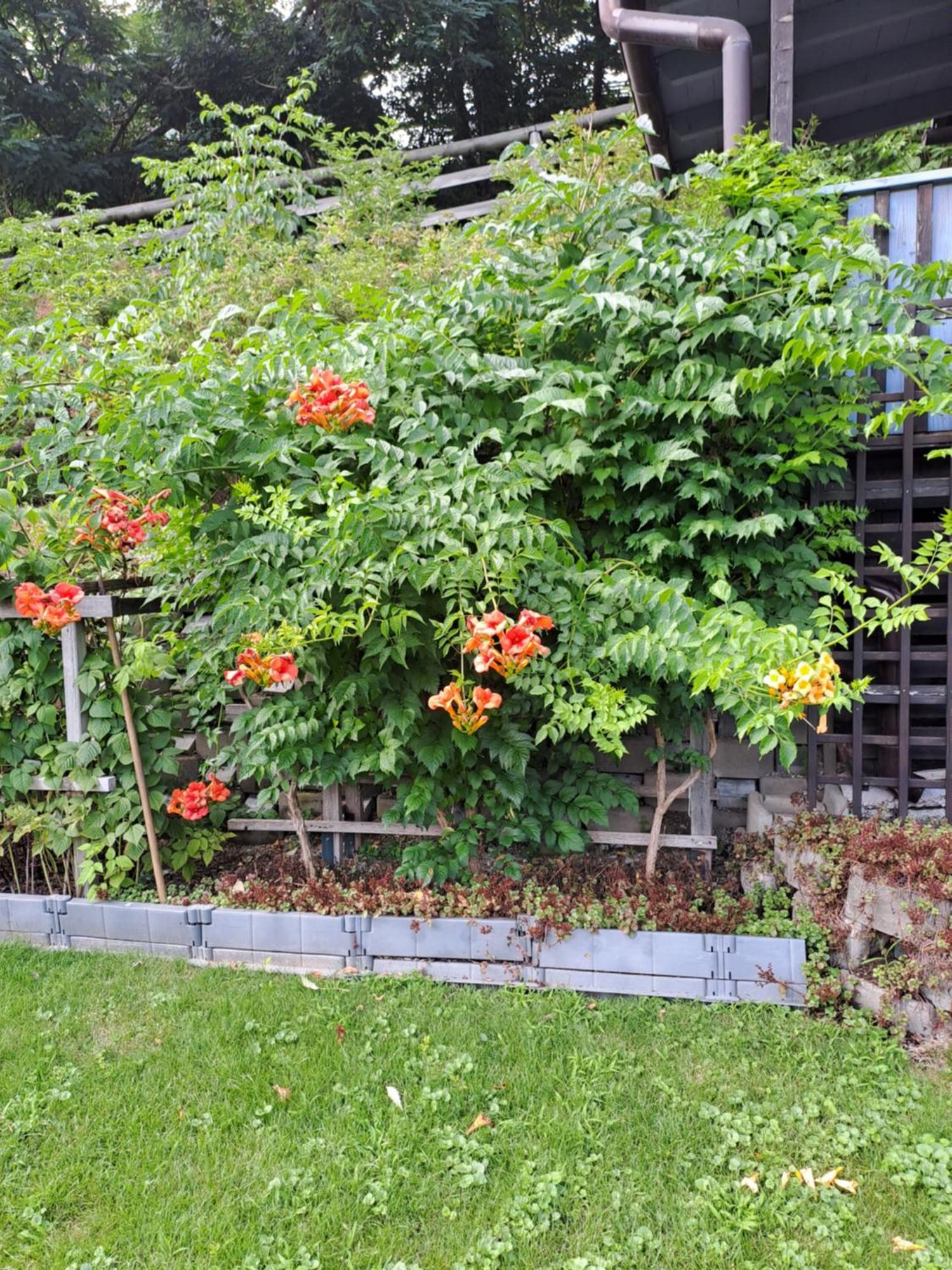 Ferienwohnung Brenner Bruck an der Mur Exterior photo